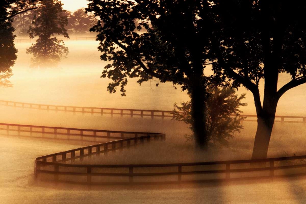 Wall Art Painting id:21565, Name: Kentucky Morning, Artist: Delimont, Danita