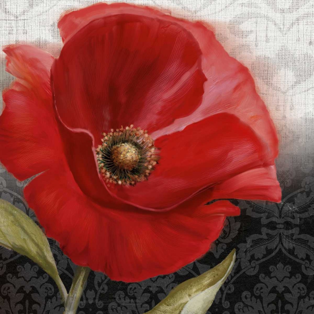 Wall Art Painting id:21608, Name: Poppy Perfection I, Artist: Knutsen, Conrad