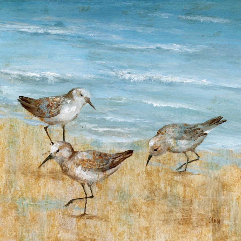 Art Print: Sandpipers II
