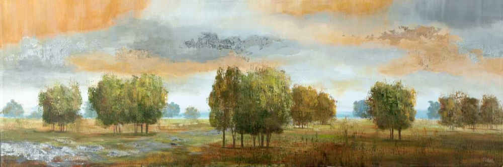 Wall Art Painting id:55580, Name: Meadow Vista II, Artist: Nan