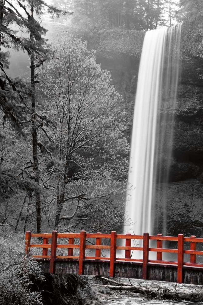 Wall Art Painting id:34226, Name: Silver Falls, Artist: Delimont, Danita