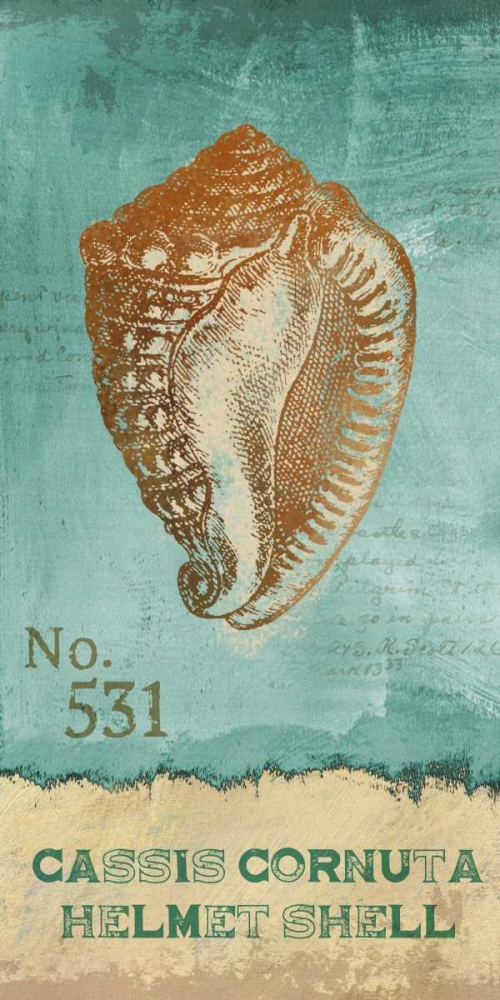 Wall Art Painting id:36002, Name: Helmet Shell, Artist: Knutsen, Conrad