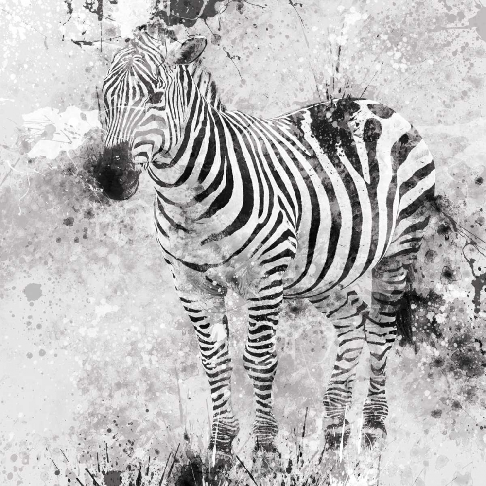Wall art: Zebra I, by Robinson, Carol