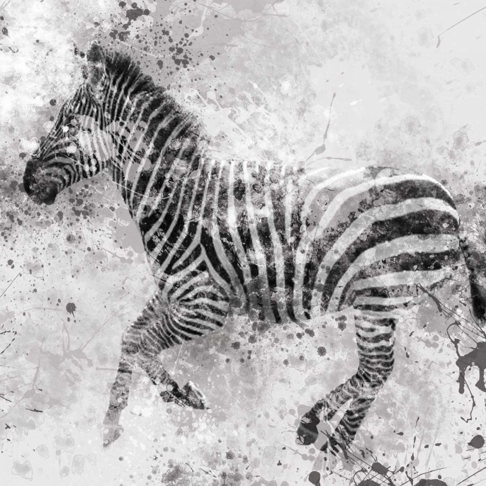 Wall art: Zebra II, by Robinson, Carol