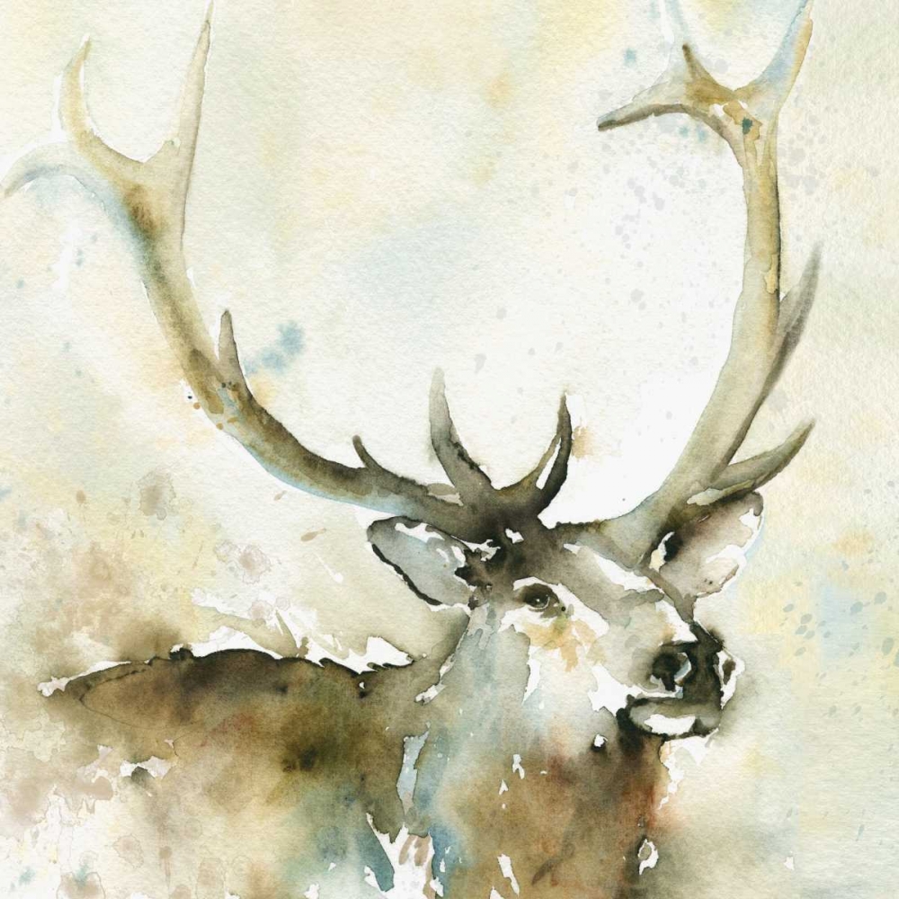 Wall art: Emerging from the, by Robinson, Carol