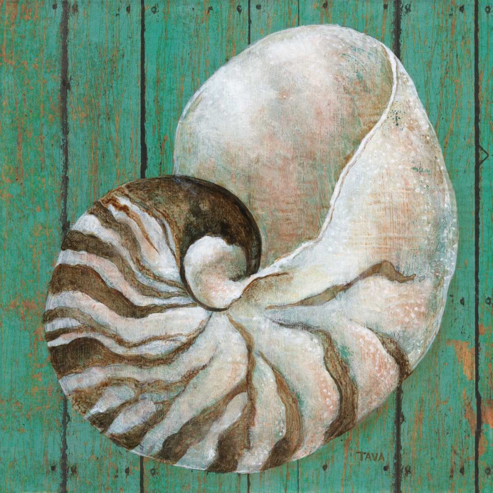 Wall Art Painting id:162699, Name: Nautilus, Artist: Tava, Janet