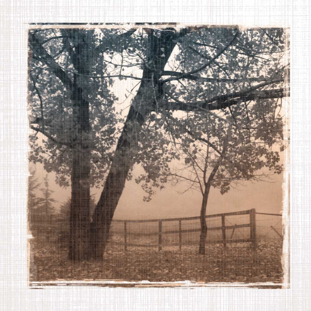 Wall Art Painting id:55472, Name: Foggy Light I, Artist: Robinson, Carol