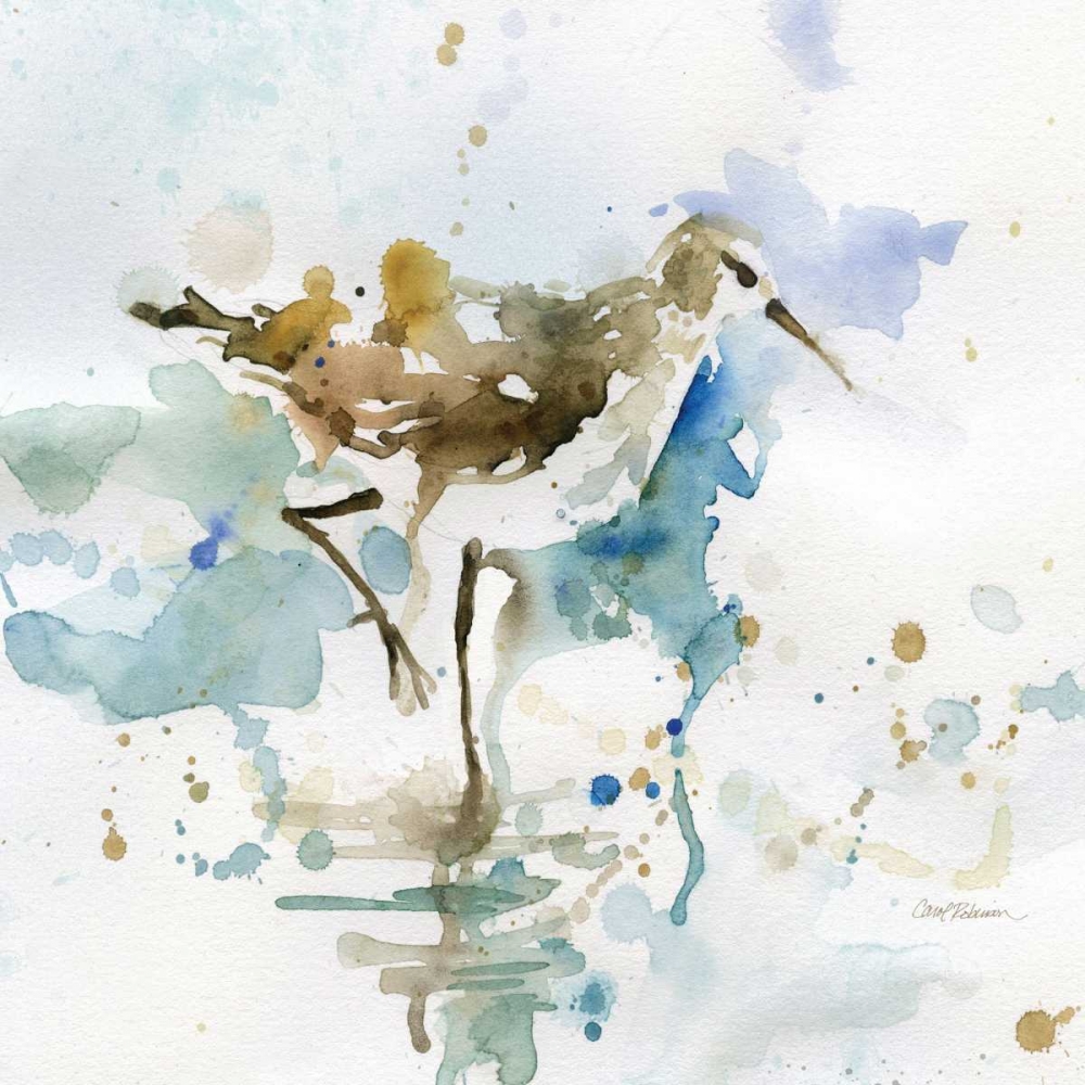 Wall Art Painting id:95398, Name: Malibu Sand Piper, Artist: Robinson, Carol