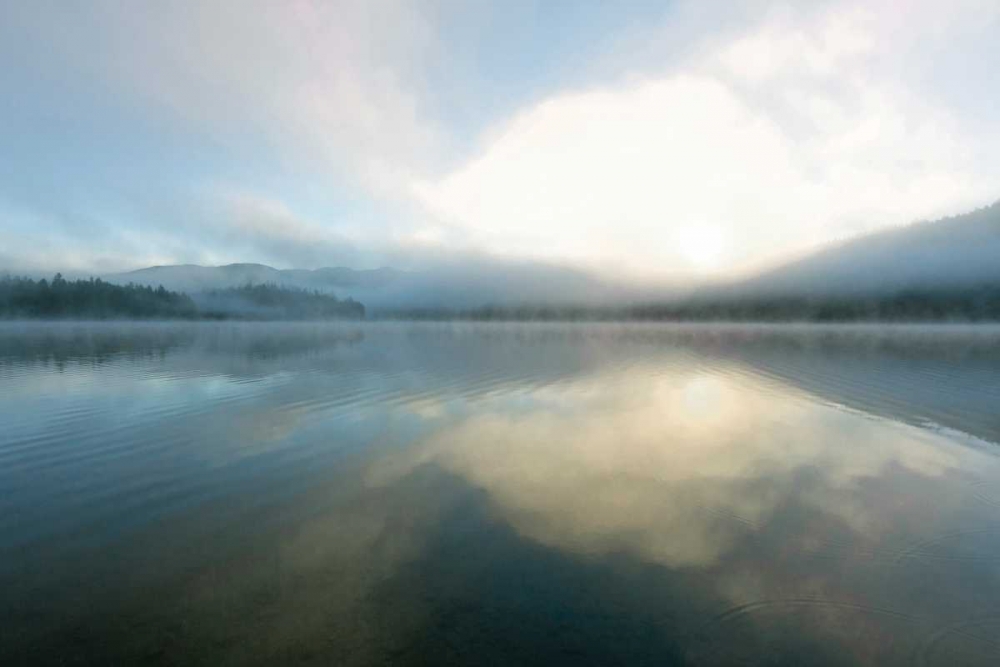 Wall Art Painting id:95432, Name: Honeymoon, Artist: Delimont, Danita