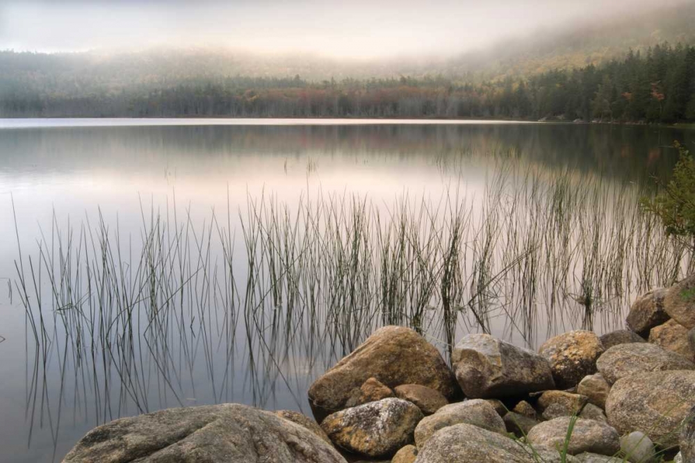 Wall Art Painting id:95436, Name: Wanderlust, Artist: Delimont, Danita