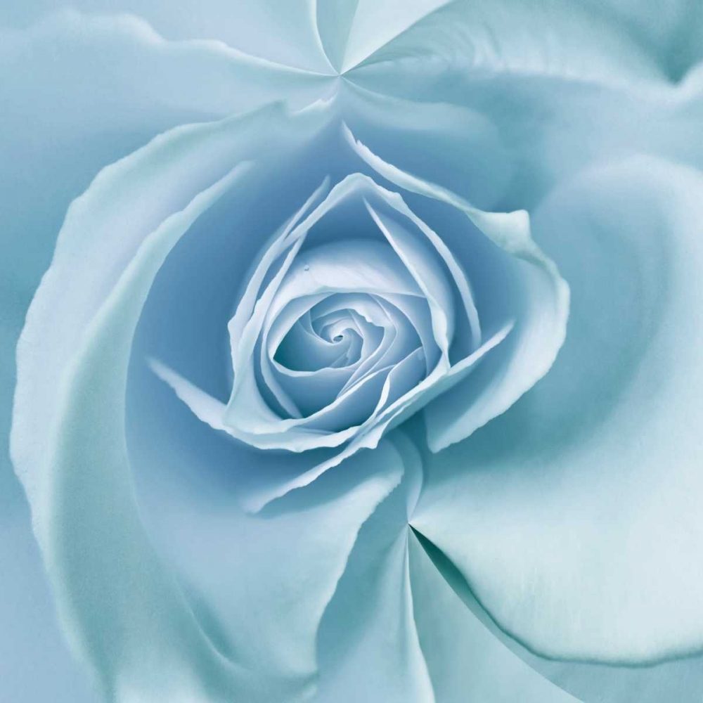 Art Print: Blue Embrace