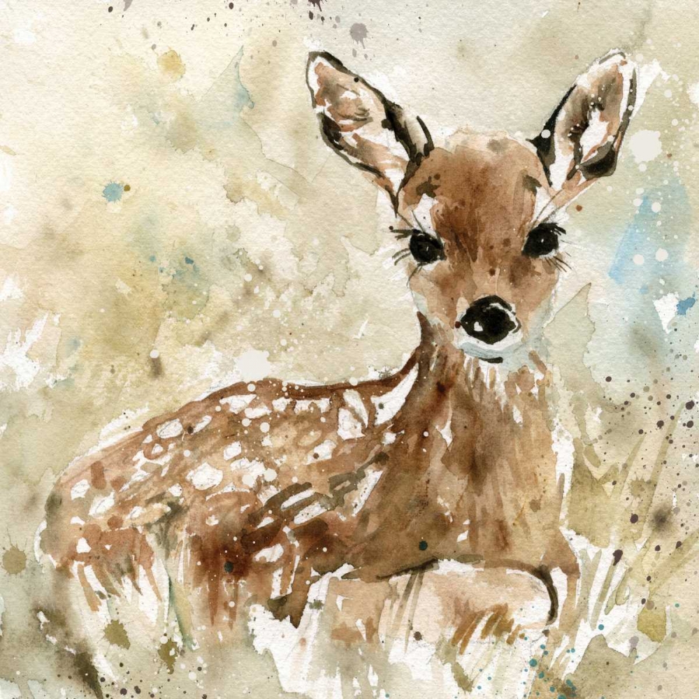 Wall art: Fawn In Spring, by Robinson, Carol