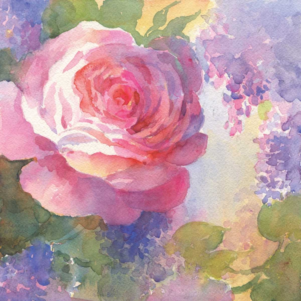 Wall Art Painting id:95620, Name: Margots Rose I, Artist: Troise Heidel, Theresa