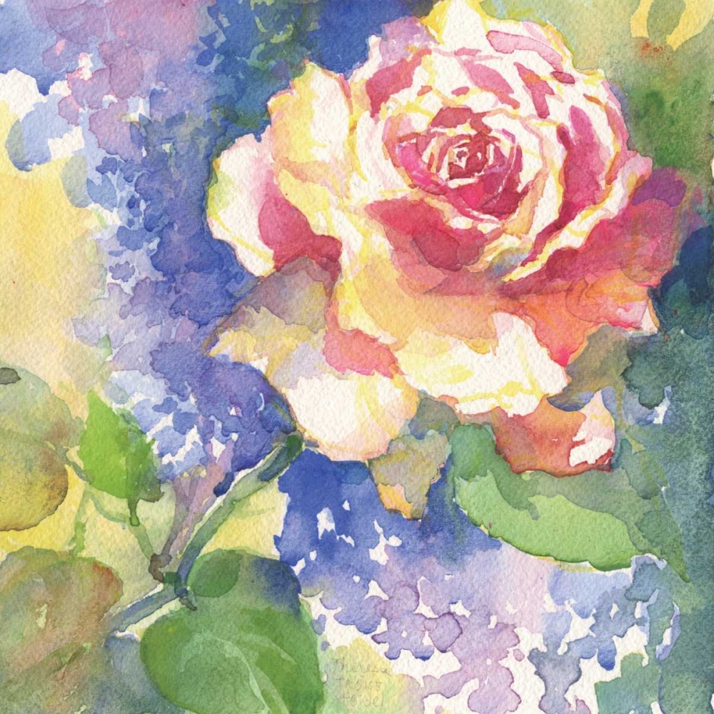 Wall Art Painting id:95622, Name: Margots Rose III, Artist: Troise Heidel, Theresa