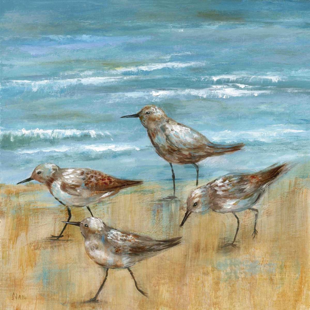 Wall Art Painting id:95646, Name: Sandpipers III, Artist: Nan