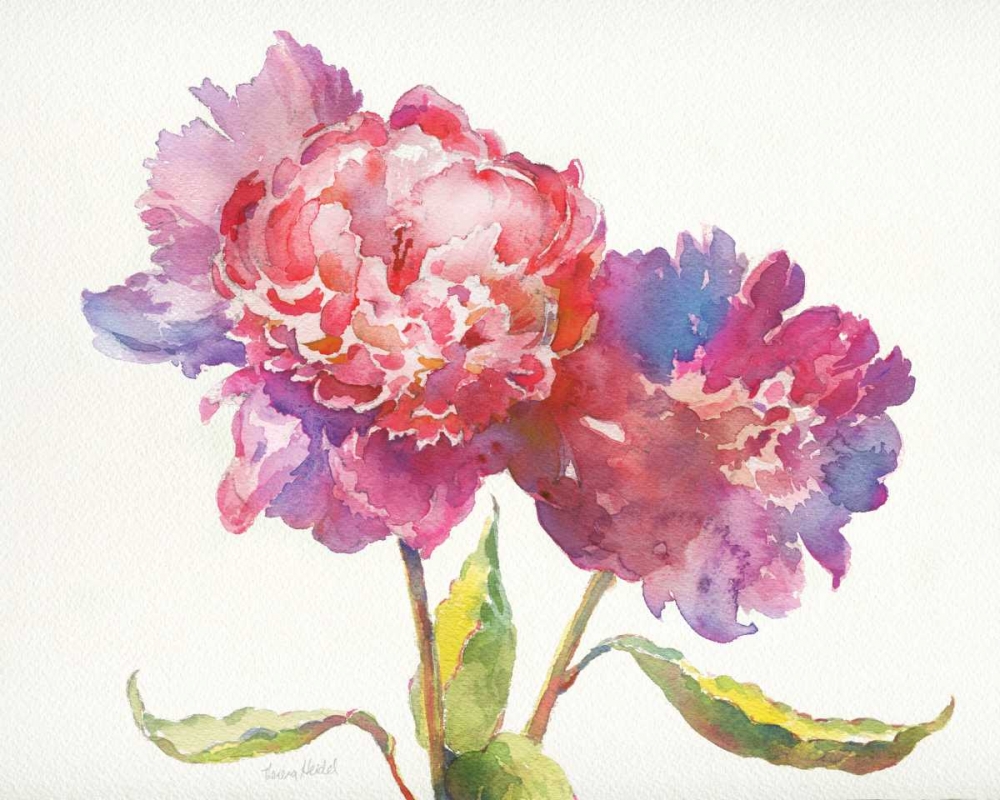 Wall Art Painting id:124260, Name: Prize Peonies I, Artist: Troise Heidel, Theresa