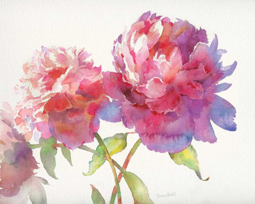 Wall Art Painting id:124261, Name: Prize Peonies II, Artist: Troise Heidel, Theresa