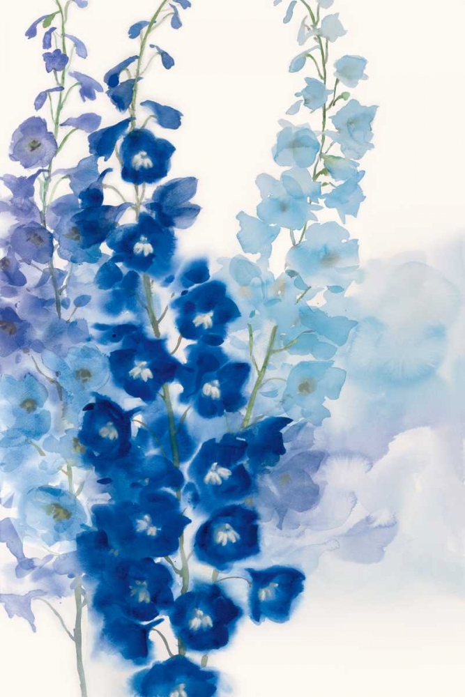 Wall Art Painting id:124288, Name: Delphinium I, Artist: Daniels, Rogier