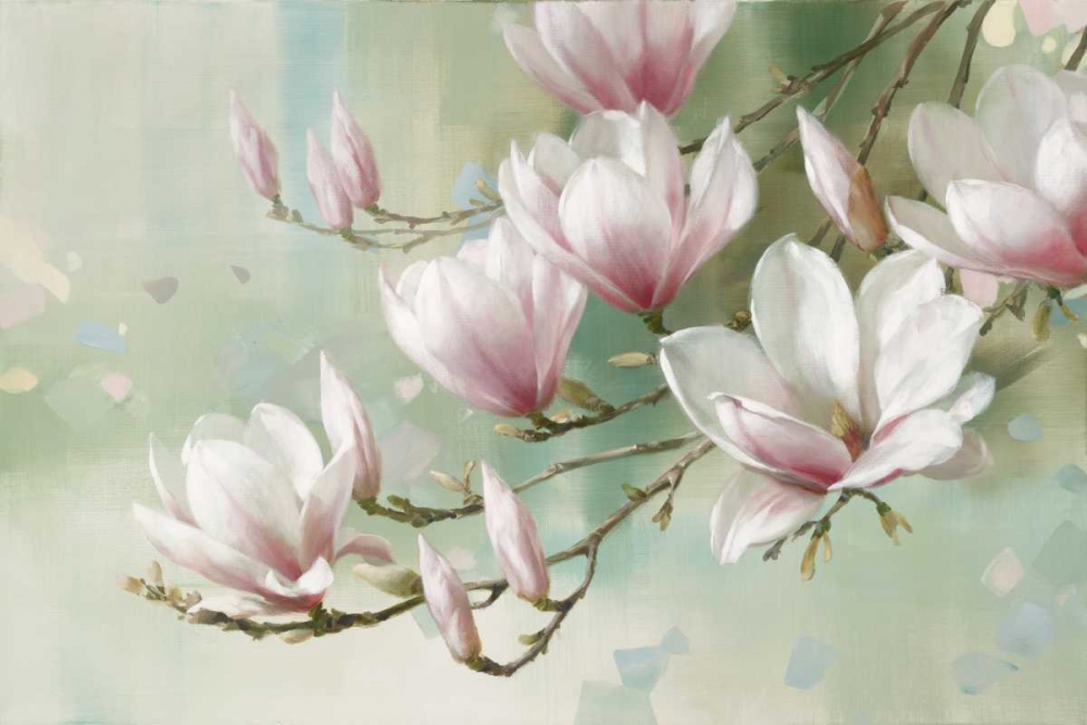 Wall Art Painting id:124290, Name: Magnolia Morning, Artist: Daniels, Rogier