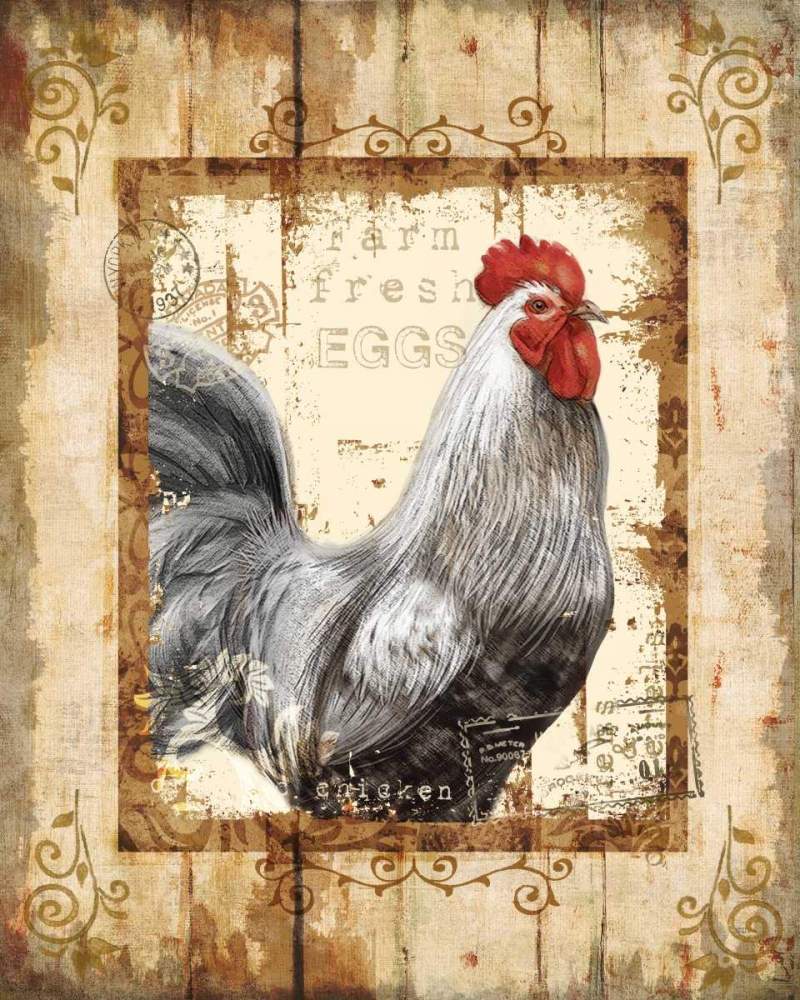 Wall Art Painting id:124374, Name: Farm Fresh Rooster, Artist: Knutsen, Conrad