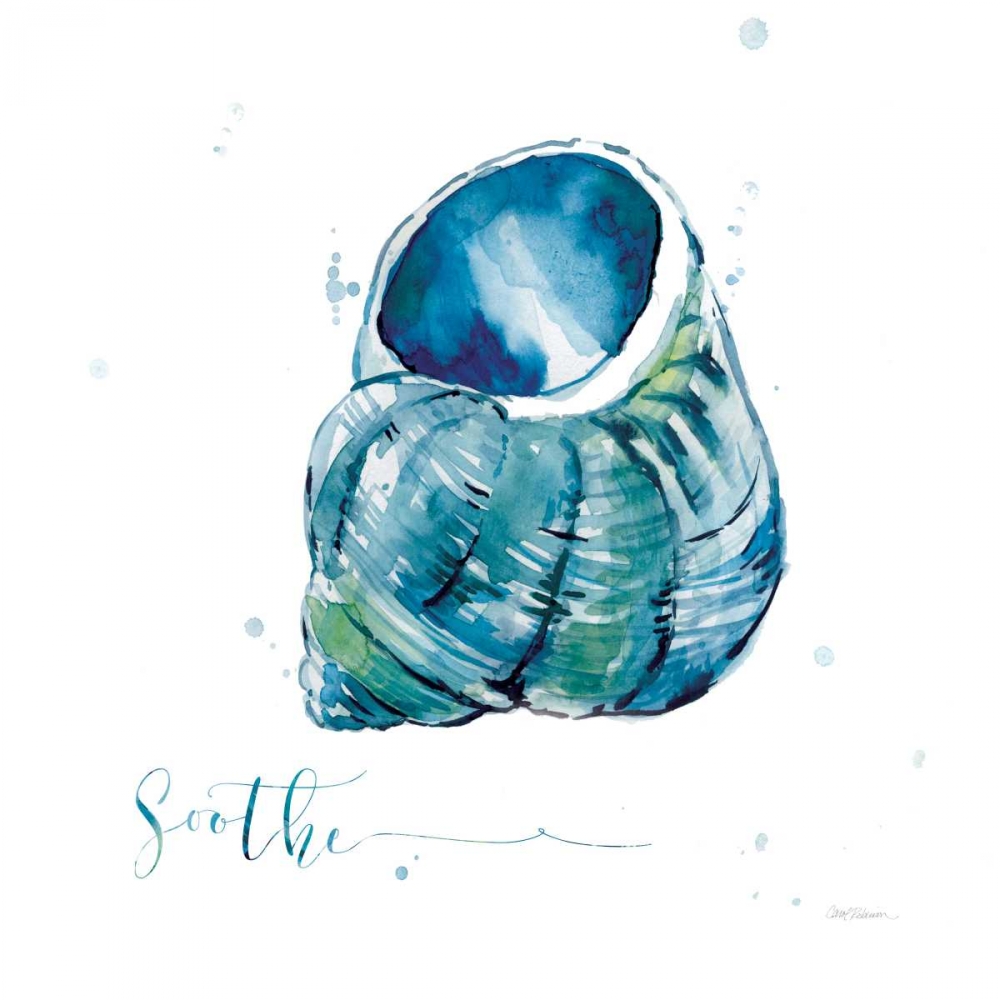 Wall Art Painting id:124480, Name: Blue Shell Soothe, Artist: Robinson, Carol