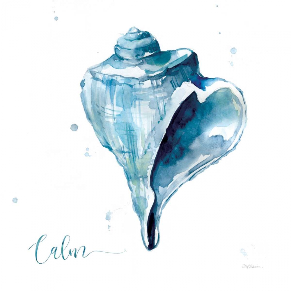 Wall Art Painting id:124481, Name: Blue Shell Calm, Artist: Robinson, Carol