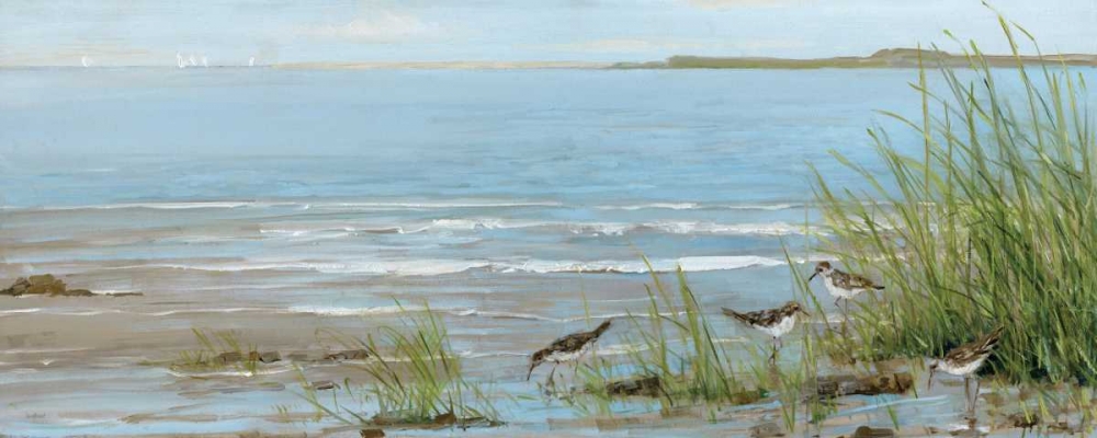Art Print: Sandpiper Beach