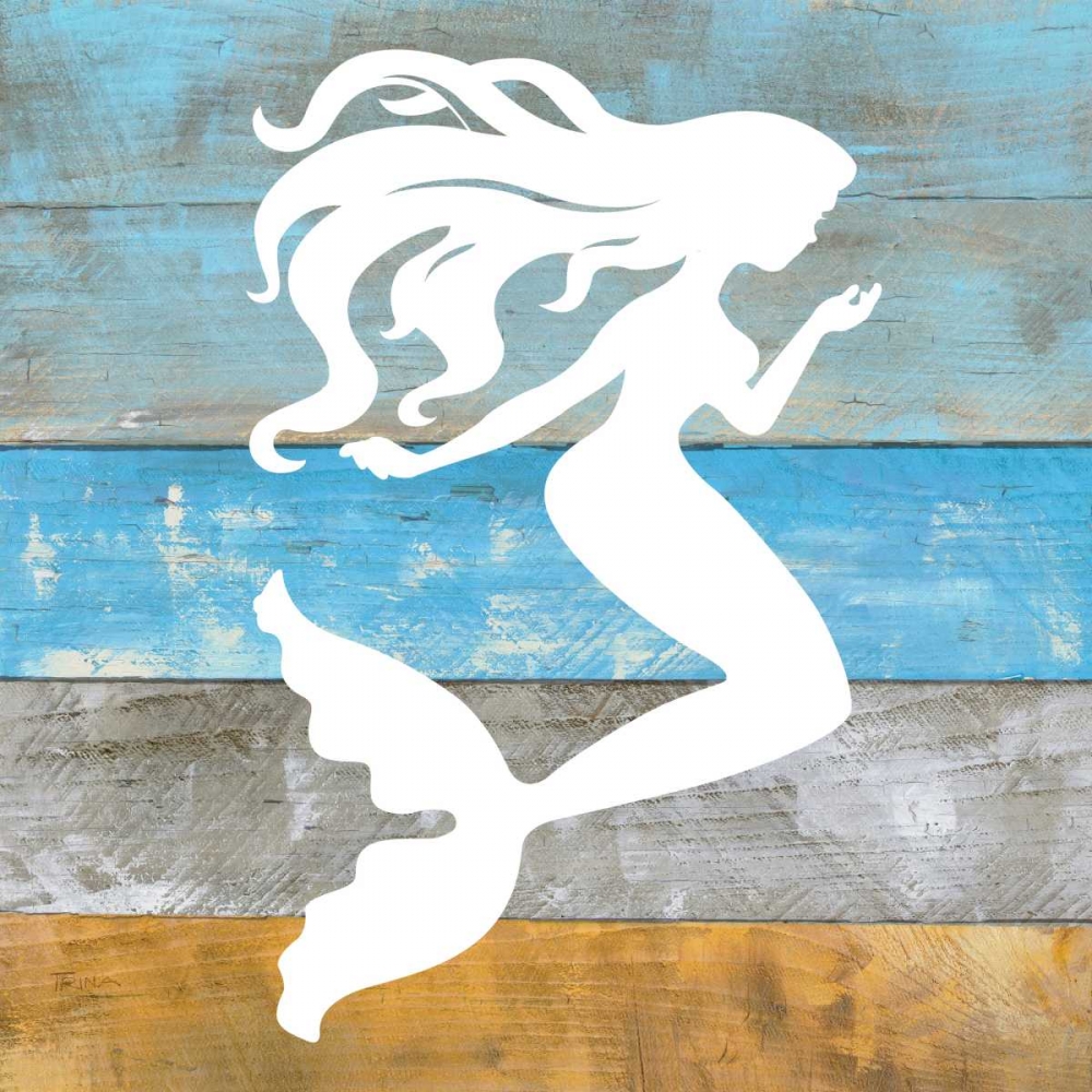 Wall Art Painting id:124504, Name: Woodgrain Mermaid, Artist: Craven, Katrina