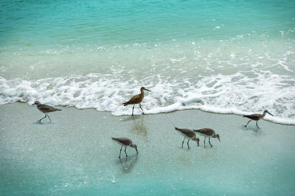 Art Print: Sandpiper Beach Party