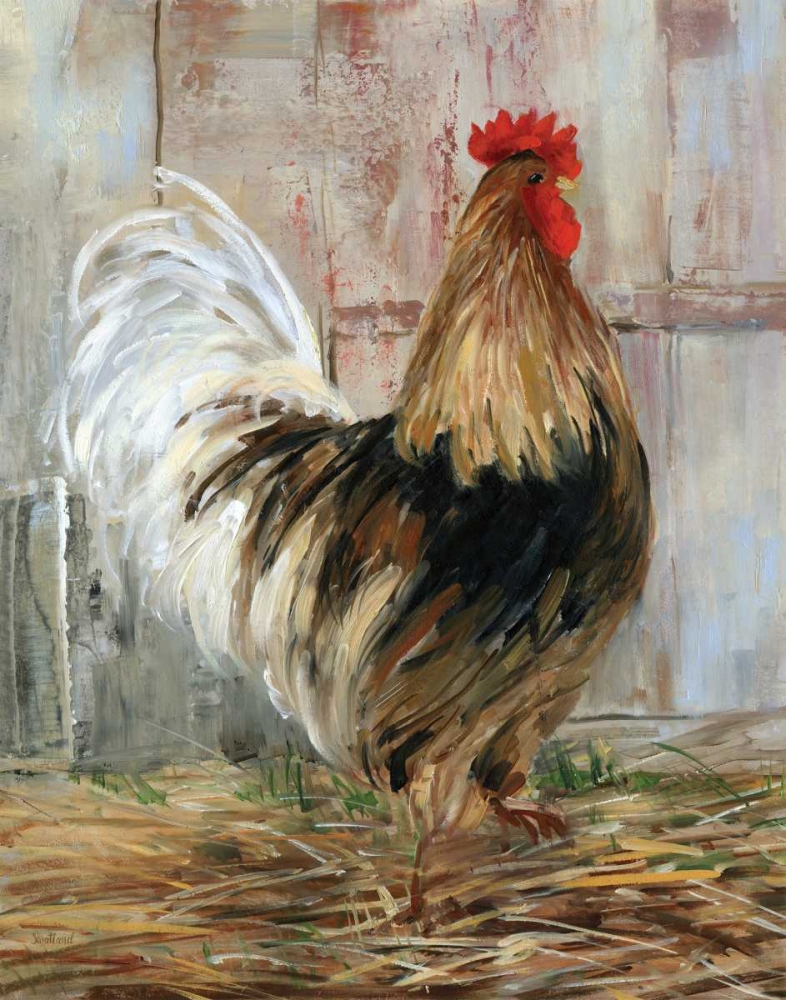 Art Print: Farmhouse Rooster