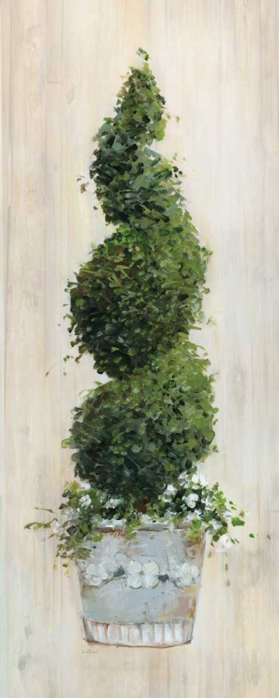 Wall Art Painting id:124541, Name: Spiral Topiary, Artist: Swatland, Sally