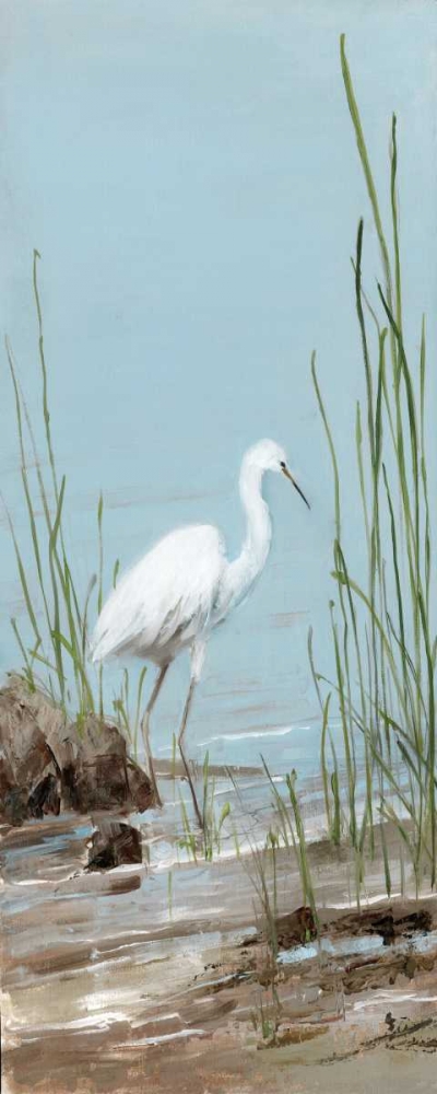 Art Print: Island Egret I