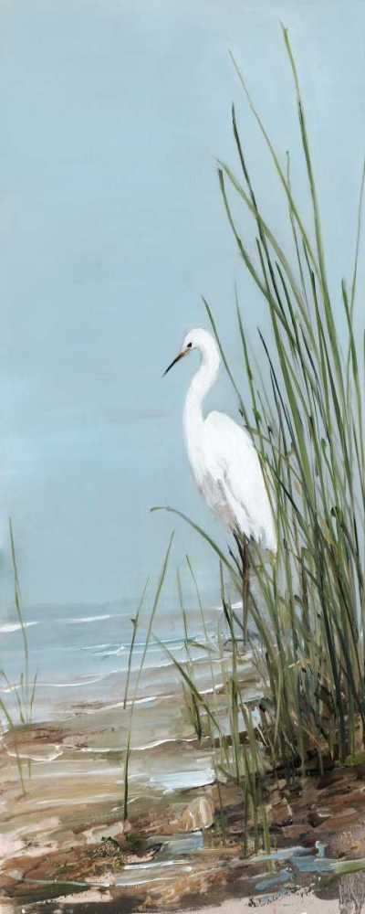 Art Print: Island Egret II