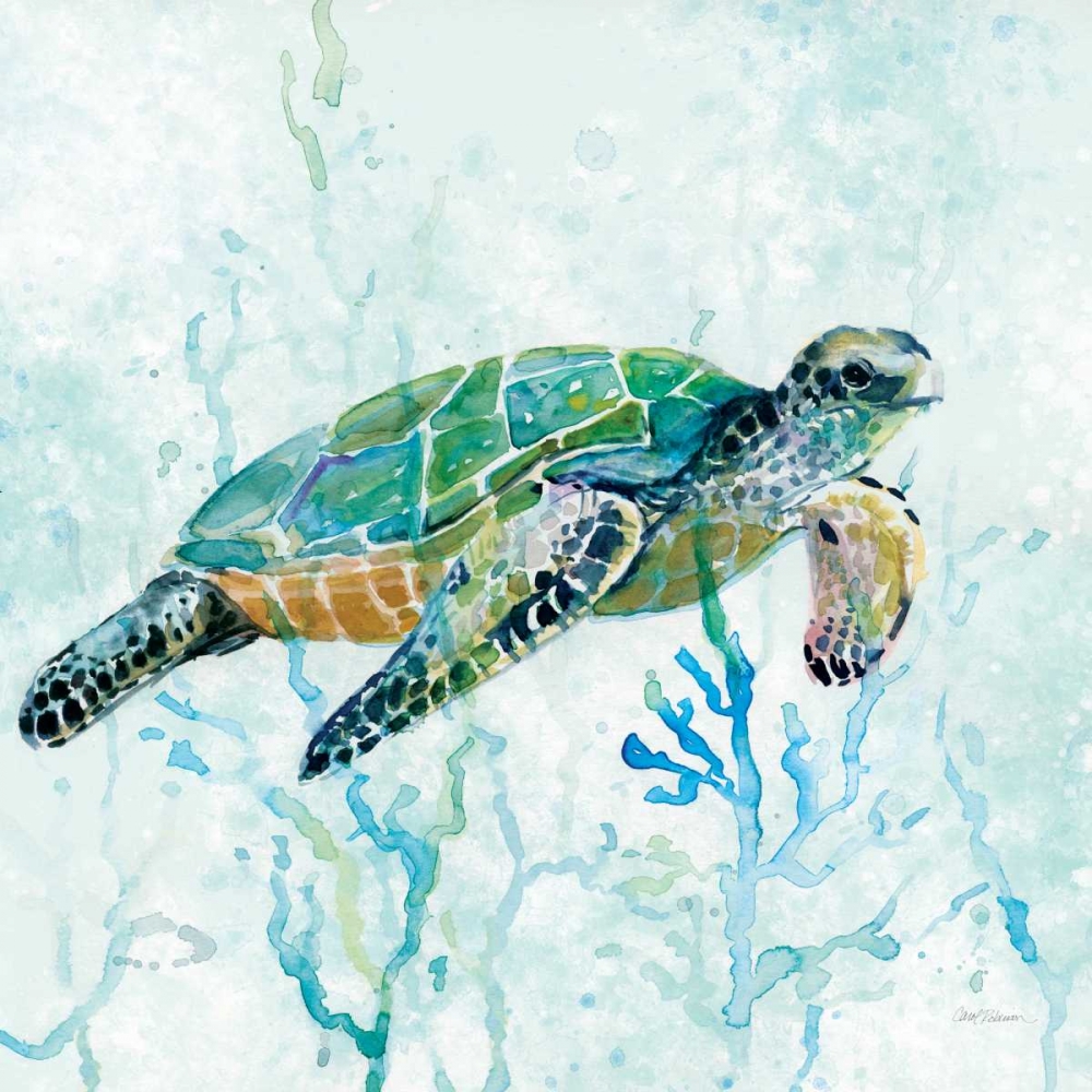 Wall Art Painting id:164442, Name: Sea Turtle Swim I, Artist: Robinson, Carol