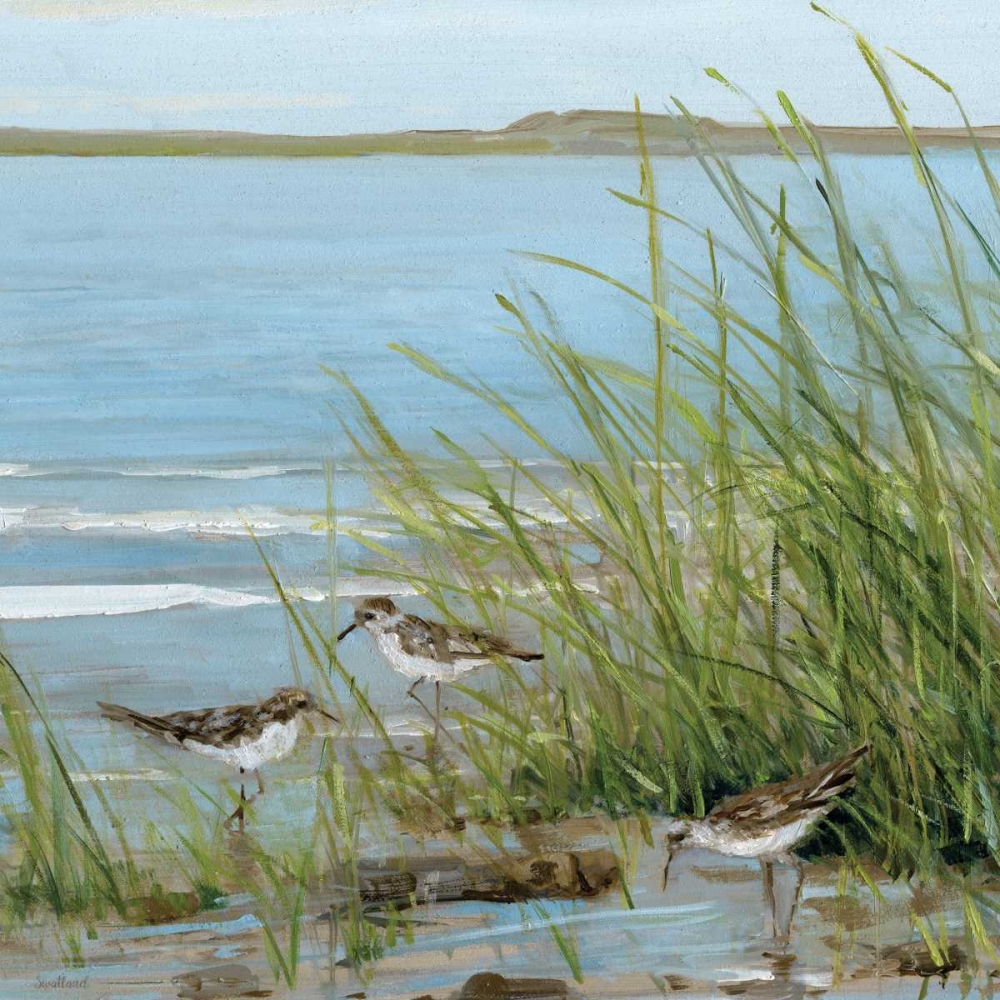 Wall Art Painting id:151253, Name: Afternoon On The, Artist: Swatland, Sally
