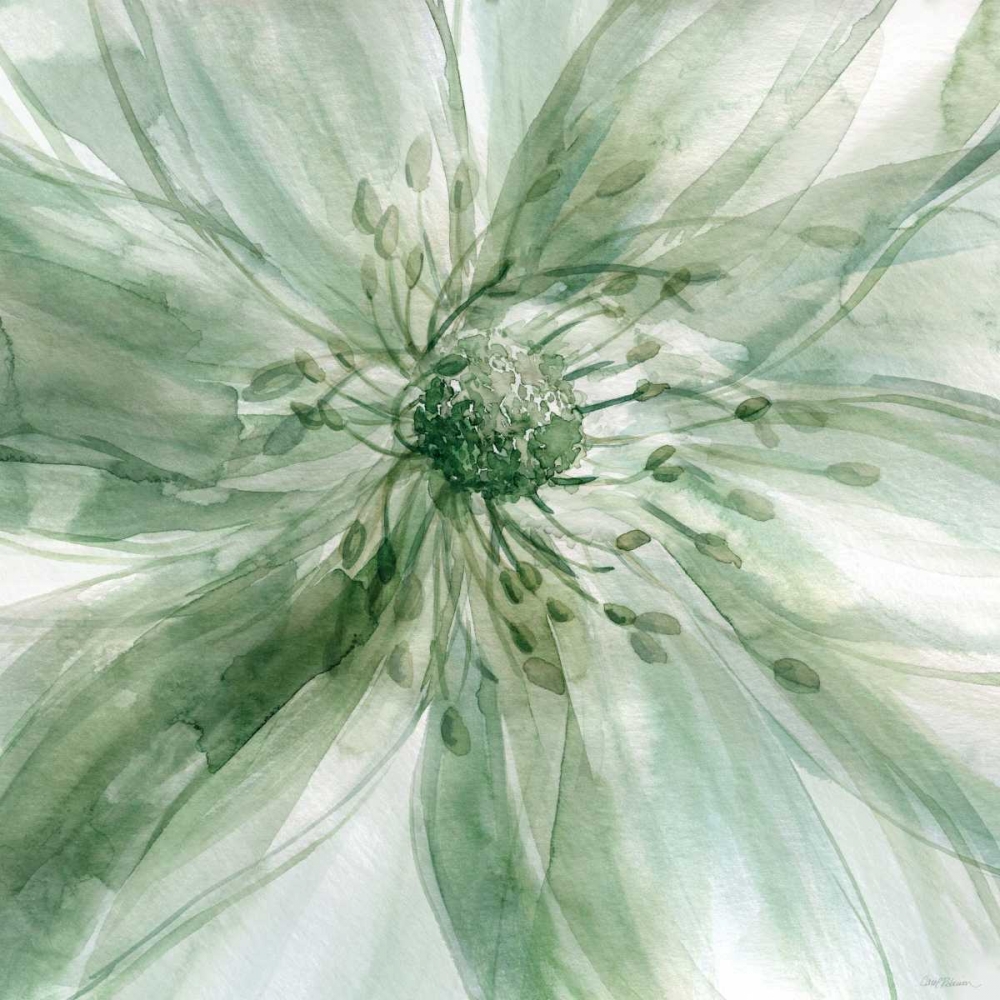 Wall Art Painting id:164479, Name: Macro Sage Flower, Artist: Robinson, Carol