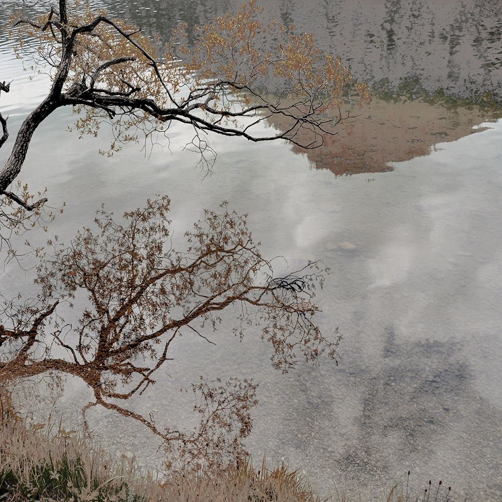 Art Print: Warm Afternoon II