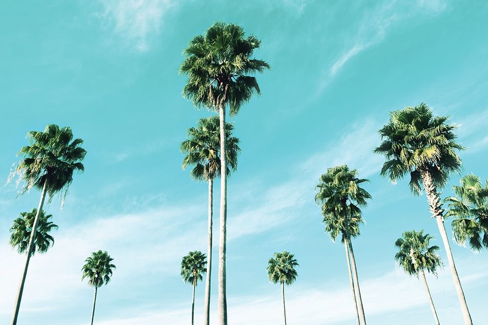 Wall Art Painting id:189837, Name: East Coast, Artist: Carpentieri, Natalie