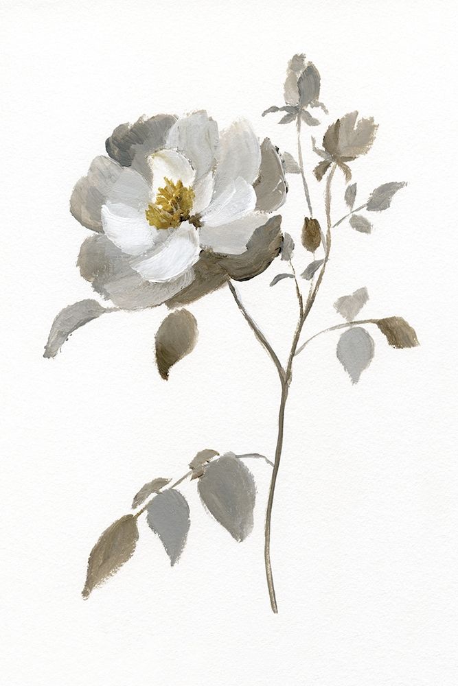 Wall art: Neutral Rose II, by Nan
