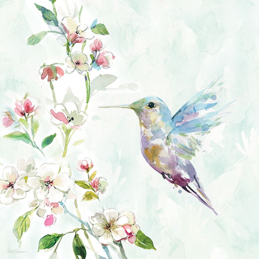 Wall art: Hummingbird II, by Robinson, Carol