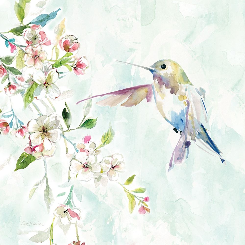 Art Print: Hummingbird IV