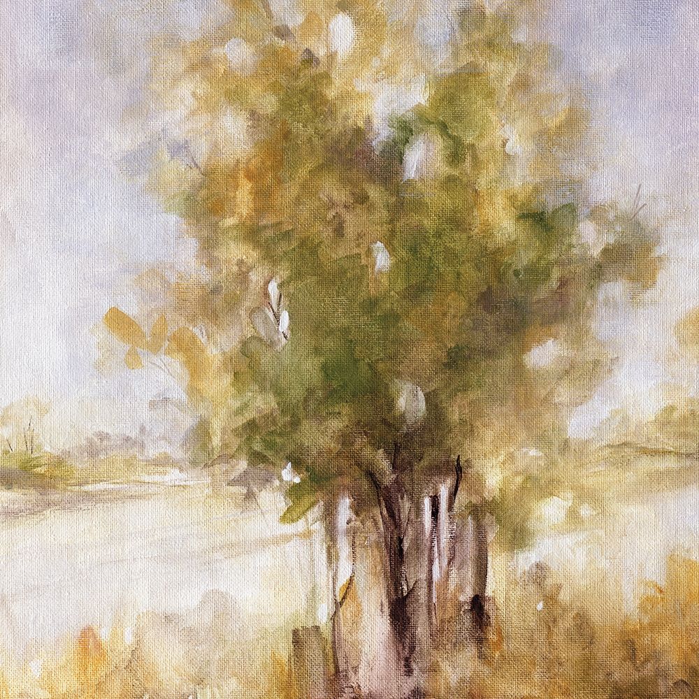 Wall Art Painting id:194295, Name: Gentle Groves I, Artist: Robinson, Carol