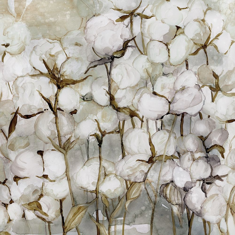 Wall art: Cotton Field, by Robinson, Carol