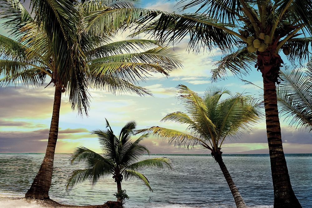 Wall Art Painting id:194319, Name: Honduras Sunset, Artist: Carpentieri, Natalie