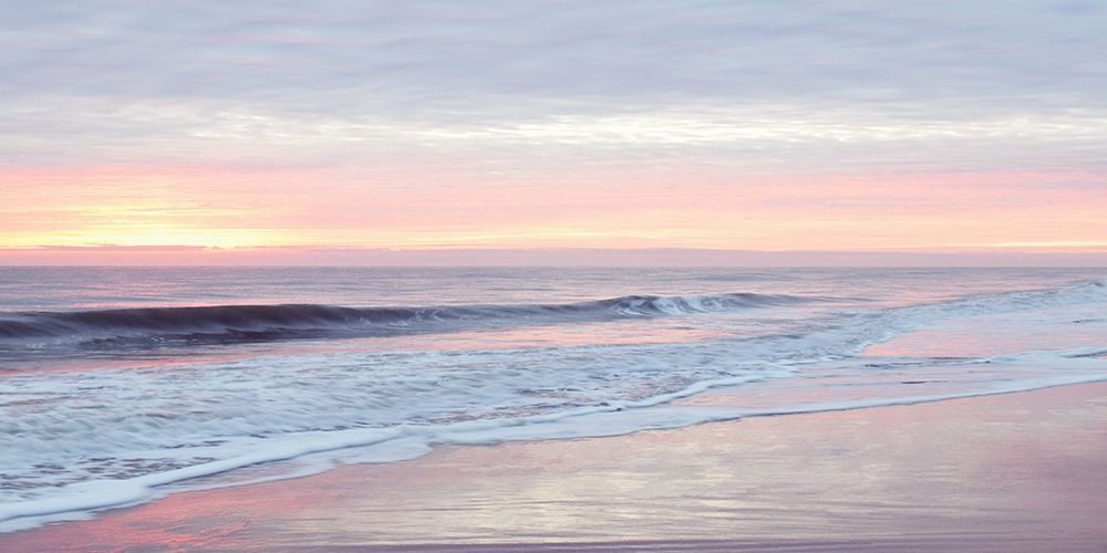 Wall Art Painting id:208558, Name: Morning Break, Artist: Carpentieri, Natalie