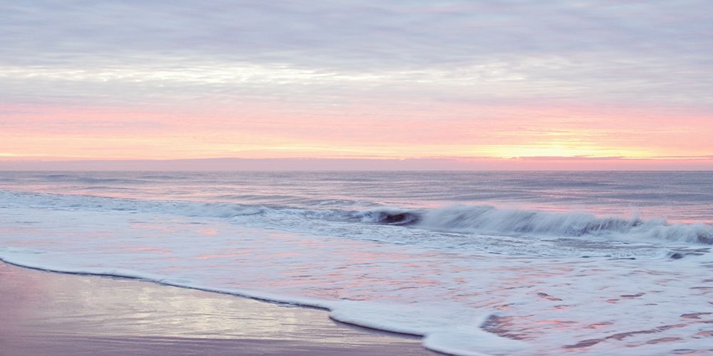 Wall Art Painting id:208559, Name: Morning Break, Artist: Carpentieri, Natalie