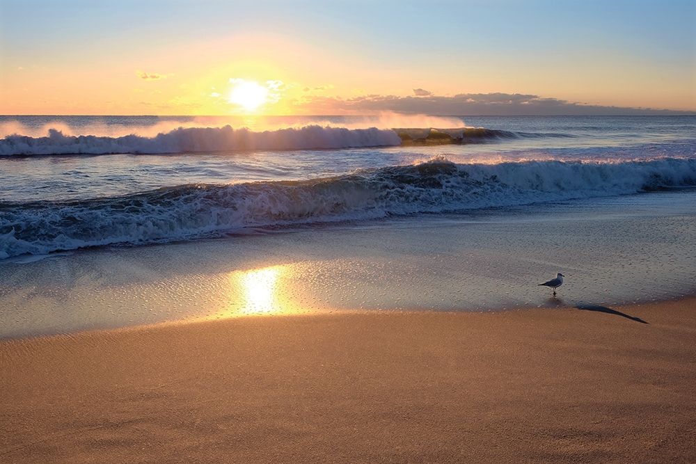 Wall Art Painting id:210845, Name: Sunset, Artist: Carpentieri, Natalie