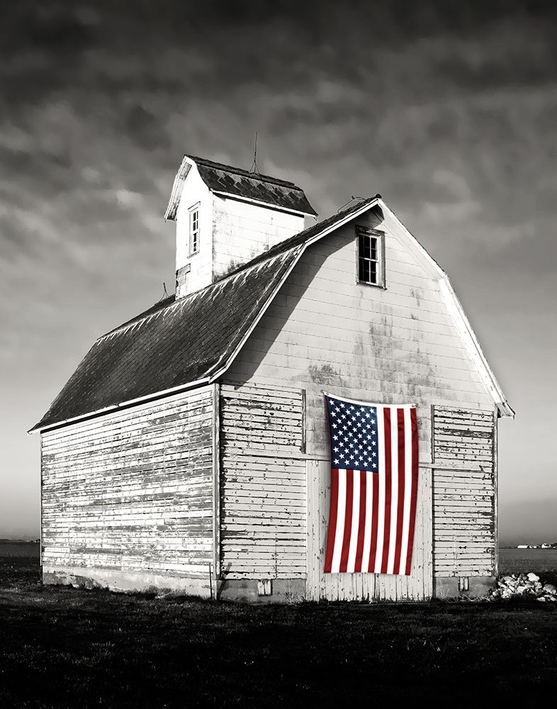 Art Print: Modern Barn I