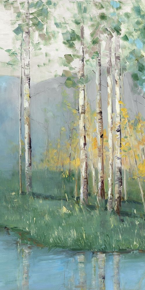 Art Print: Birch