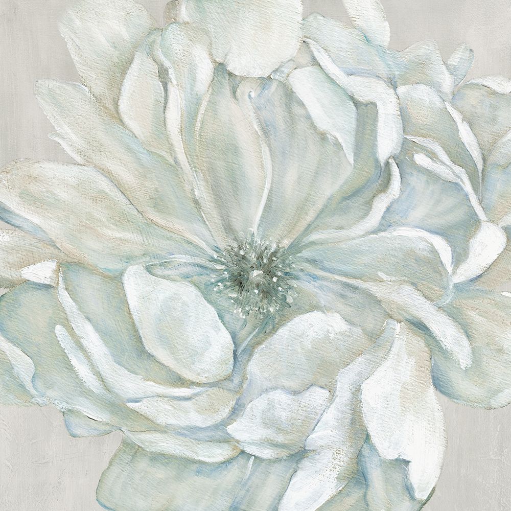 Wall art: Morning Petals I, by Robinson, Carol